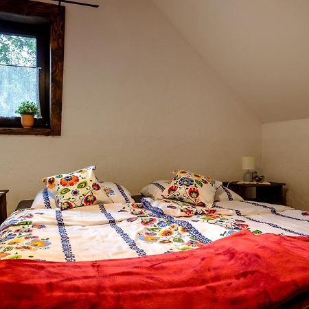 Wiejski Dworek Solina  Extérieur photo